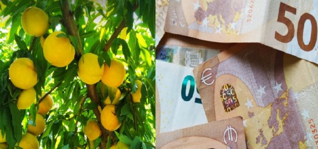 STOP &sigma;&tau;&iota;&sigmaf; &pi;&rho;&omicron;&kappa;&alpha;&tau;&alpha;&beta;&omicron;&lambda;έ&sigmaf; &gamma;&iota;&alpha; &tau;&omicron;&upsilon;&sigmaf; &pi;&alpha;&gamma;&epsilon;&tau;&omicron;ύ&sigmaf; &kappa;&alpha;&iota; &alpha;&pi;&omicron;&pi;&rho;&omicron;&sigma;&alpha;&nu;&alpha;&tau;&omicron;&lambda;&iota;&sigma;&mu;ό &tau;&omega;&nu; &rho;&omicron;&delta;&alpha;&kappa;&iota;&nu;&omicron;&pi;&alpha;&rho;&alpha;&gamma;&omega;&gamma;ώ&nu; &mu;&epsilon; &tau;&eta;&nu; &alpha;&nu;&alpha;&delta;&iota;ά&rho;&theta;&rho;&omega;&sigma;&eta;