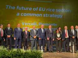 &Omicron;&mu;&iota;&lambda;ί&alpha; &tau;&omicron;&upsilon; &Kappa;ώ&sigma;&tau;&alpha; &Tau;&sigma;&iota;ά&rho;&alpha; &sigma;&tau;&eta; &delta;&iota;ά&sigma;&kappa;&epsilon;&psi;&eta; &gamma;&iota;&alpha; &tau;&omicron; &mu;έ&lambda;&lambda;&omicron;&nu; &tau;&omicron;&upsilon; &tau;&omicron;&mu;έ&alpha; &rho;&upsilon;&zeta;&iota;&omicron;ύ &sigma;&tau;&eta;&nu; &Epsilon;&Epsilon; &sigma;&tau;&omicron; &Beta;&epsilon;&rho;&tau;&sigma;έ&lambda;&lambda;&iota; &tau;&eta;&sigmaf; &Beta;. &Iota;&tau;&alpha;&lambda;ί&alpha;&sigmaf;