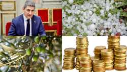 &Upsilon;&pi;&Alpha;&Alpha;&Tau;: &laquo;&Tau;&omicron;&mu;έ&sigmaf; &mu;&epsilon; &Tau;ό&lambda;&mu;&eta; - &Sigma;&tau;&omicron; &pi;&lambda;&epsilon;&upsilon;&rho;ό &tau;&omega;&nu; &alpha;&gamma;&rho;&omicron;&tau;ώ&nu; &mu;&epsilon; ά&mu;&epsilon;&sigma;&eta; &omicron;&iota;&kappa;&omicron;&nu;&omicron;&mu;&iota;&kappa;ή &sigma;&tau;ή&rho;&iota;&xi;&eta;, &epsilon;&pi;&iota;&delta;&omicron;&tau;ή&sigma;&epsilon;&iota;&sigmaf; &kappa;&alpha;&iota; &phi;&omicron;&rho;&omicron;&lambda;&omicron;&gamma;&iota;&kappa;ά &mu;έ&tau;&rho;&alpha;&raquo;