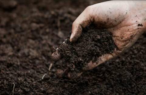 &Tau;&iota; &epsilon;ί&nu;&alpha;&iota; &tau;&alpha; &Chi;&omicron;&upsilon;&mu;&iota;&kappa;ά &kappa;&alpha;&iota; &phi;&omicron;&upsilon;&lambda;&beta;&iota;&kappa;ά &omicron;&xi;έ&alpha;!