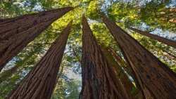 &Epsilon;&Lambda;&Epsilon;&Alpha;&Beta;&Iota;&Omicron;&Mu; &gamma;&iota;&alpha; &Pi;&alpha;&gamma;&kappa;ό&sigma;&mu;&iota;&alpha; &Eta;&mu;έ&rho;&alpha; &Delta;&alpha;&sigma;ώ&nu;: &Eta; &sigma;&upsilon;&mu;&beta;&iota;&omega;&tau;&iota;&kappa;ή &sigma;&chi;έ&sigma;&eta; &mu;&epsilon;&tau;&alpha;&xi;ύ &beta;&iota;ώ&sigma;&iota;&mu;&eta;&sigmaf; &delta;&alpha;&sigma;&iota;&kappa;ή&sigmaf; &delta;&iota;&alpha;&chi;&epsilon;ί&rho;&iota;&sigma;&eta;&sigmaf; &kappa;&alpha;&iota; &sigma;ύ&gamma;&chi;&rho;&omicron;&nu;&eta;&sigmaf; &beta;&iota;&omicron;&epsilon;&nu;έ&rho;&gamma;&epsilon;&iota;&alpha;&sigmaf; &gamma;&iota;&alpha; &pi;&rho;&omicron;&sigma;&tau;&alpha;&sigma;ί&alpha; &kappa;&alpha;&iota; &kappa;&lambda;&iota;&mu;&alpha;&tau;&iota;&kappa;ή &alpha;&nu;&theta;&epsilon;&kappa;&tau;&iota;&kappa;ό&tau;&eta;&tau;&alpha;