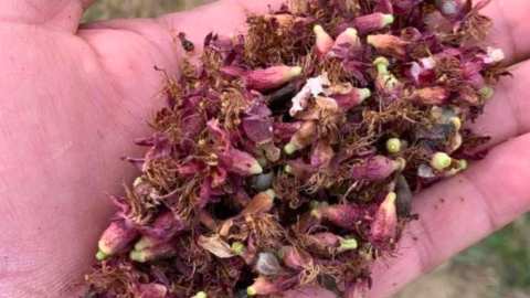 &Alpha;&nu;&alpha;&kappa;&omicron;ί&nu;&omega;&sigma;&eta; &pi;&omicron;&rho;&iota;&sigma;&mu;ά&tau;&omega;&nu; &epsilon;&kappa;&tau;ί&mu;&eta;&sigma;&eta;&sigmaf; &zeta;&eta;&mu;&iota;ώ&nu; &gamma;&iota;&alpha; &pi;&alpha;&gamma;&epsilon;&tau;ό (20.03.2025) &sigma;&tau;&eta;&nu; &Delta;&Tau;&Kappa; &Lambda;&upsilon;&kappa;&omicron;&gamma;&iota;ά&nu;&nu;&eta;&sigmaf;