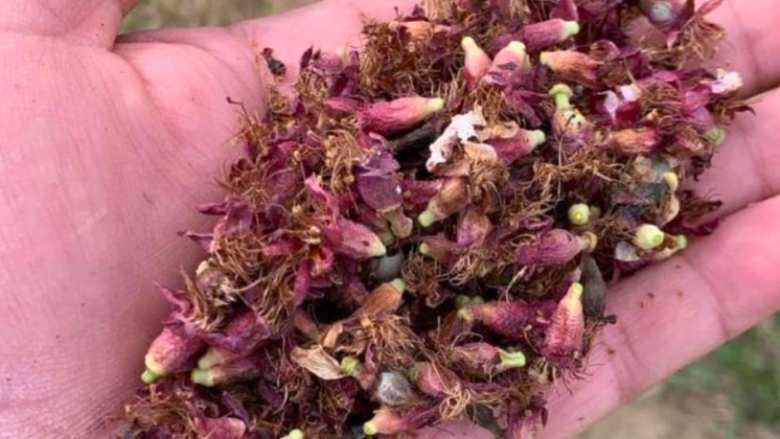 &Alpha;&nu;&alpha;&kappa;&omicron;ί&nu;&omega;&sigma;&eta; &pi;&omicron;&rho;&iota;&sigma;&mu;ά&tau;&omega;&nu; &epsilon;&kappa;&tau;ί&mu;&eta;&sigma;&eta;&sigmaf; &zeta;&eta;&mu;&iota;ώ&nu; &gamma;&iota;&alpha; &pi;&alpha;&gamma;&epsilon;&tau;ό (20.03.2025) &sigma;&tau;&eta;&nu; &Delta;&Tau;&Kappa; &Lambda;&upsilon;&kappa;&omicron;&gamma;&iota;ά&nu;&nu;&eta;&sigmaf;