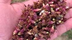 &Alpha;&nu;&alpha;&kappa;&omicron;ί&nu;&omega;&sigma;&eta; &pi;&omicron;&rho;&iota;&sigma;&mu;ά&tau;&omega;&nu; &epsilon;&kappa;&tau;ί&mu;&eta;&sigma;&eta;&sigmaf; &zeta;&eta;&mu;&iota;ώ&nu; &gamma;&iota;&alpha; &pi;&alpha;&gamma;&epsilon;&tau;ό (20.03.2025) &sigma;&tau;&eta;&nu; &Delta;&Tau;&Kappa; &Lambda;&upsilon;&kappa;&omicron;&gamma;&iota;ά&nu;&nu;&eta;&sigmaf;