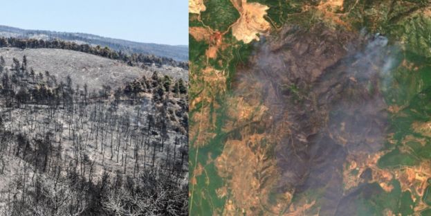 &Epsilon;ύ&beta;&omicron;&iota;&alpha;: &Delta;&iota;&alpha;&delta;&iota;&kappa;&alpha;&sigma;ί&alpha; &upsilon;&pi;&omicron;&beta;&omicron;&lambda;ή&sigmaf; &alpha;ί&tau;&eta;&sigma;&eta;&sigmaf; &alpha;&pi;&omicron;&zeta;&eta;&mu;&iota;ώ&sigma;&eta;&sigmaf; &amp; &sigma;&tau;ή&rho;&iota;&xi;&eta;&sigmaf; &alpha;&gamma;&rho;&omicron;&tau;&iota;&kappa;ώ&nu; &epsilon;&kappa;&mu;&epsilon;&tau;&alpha;&lambda;&lambda;&epsilon;ύ&sigma;&epsilon;&omega;&nu; &kappa;&alpha;&iota; &kappa;&tau;&eta;&nu;&omicron;&tau;&rho;&omicron;&phi;&iota;&kappa;ώ&nu; &mu;&omicron;&nu;ά&delta;&omega;&nu;, &nu;&omicron;&iota;&kappa;&omicron;&kappa;&upsilon;&rho;&iota;ώ&nu; &kappa;&alpha;&iota; &epsilon;&pi;&iota;&chi;&epsilon;&iota;&rho;ή&sigma;&epsilon;&omega;&nu;