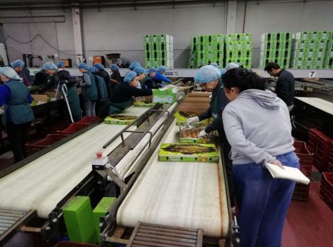 &Epsilon;&lambda;&lambda;&eta;&nu;&iota;&kappa;ό &alpha;&kappa;&tau;&iota;&nu;ί&delta;&iota;&omicron;: &Kappa;&iota;&nu;ή&sigma;&epsilon;&iota;&sigmaf; &tau;&omicron;&upsilon; &Upsilon;&pi;&Alpha;&Alpha;&Tau;, &Mu;. &Beta;&omicron;&rho;ί&delta;&eta; &gamma;&iota;&alpha; ά&nu;&omicron;&iota;&gamma;&mu;&alpha; &kappa;&alpha;&iota; &tau;&eta;&sigmaf; &alpha;&gamma;&omicron;&rho;ά&sigmaf; &tau;&eta;&sigmaf; &Tau;&alpha;ϊ&lambda;ά&nu;&delta;&eta;&sigmaf;