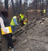 &Pi;ά&nu;&omega; &alpha;&pi;ό 700 &delta;&alpha;&sigma;&epsilon;&rho;&gamma;ά&tau;&epsilon;&sigmaf; &sigma;&tau;&iota;&sigmaf; &pi;&upsilon;&rho;ό&pi;&lambda;&eta;&kappa;&tau;&epsilon;&sigmaf; &pi;&epsilon;&rho;&iota;&omicron;&chi;έ&sigmaf; &tau;&eta;&sigmaf; &Beta;ό&rho;&epsilon;&iota;&alpha;&sigmaf; &Epsilon;ύ&beta;&omicron;&iota;&alpha;&sigmaf;