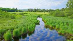 &Epsilon;&nu;&iota;&sigma;&chi;ύ&sigma;&epsilon;&iota;&sigmaf; &sigma;&tau;&omicron;&upsilon;&sigmaf; &lambda;&omicron;&gamma;&alpha;&rho;&iota;&alpha;&sigma;&mu;&omicron;ύ&sigmaf; &eta;&lambda;&epsilon;&kappa;&tau;&rho;&iota;&kappa;&omicron;ύ &rho;&epsilon;ύ&mu;&alpha;&tau;&omicron;&sigmaf; &gamma;&iota;&alpha; &tau;&omicron;&upsilon;&sigmaf; &alpha;&gamma;&rho;ό&tau;&epsilon;&sigmaf; &kappa;&alpha;&iota; &gamma;&iota;&alpha; &tau;&alpha; &epsilon;&upsilon;ά&lambda;&omega;&tau;&alpha; &nu;&omicron;&iota;&kappa;&omicron;&kappa;&upsilon;&rho;&iota;ά &tau;&omicron;&nu; &Iota;&omicron;ύ&lambda;&iota;&omicron;