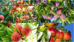 &Omicron;&delta;&eta;&gamma;ί&epsilon;&sigmaf; &gamma;&iota;&alpha; &tau;&eta;&nu; &alpha;&nu;&tau;&iota;&mu;&epsilon;&tau;ώ&pi;&iota;&sigma;&eta; &tau;&omega;&nu; &sigma;&eta;&mu;&alpha;&nu;&tau;&iota;&kappa;ό&tau;&epsilon;&rho;&omega;&nu; &epsilon;&chi;&theta;&rho;ώ&nu; &tau;&omega;&nu; &pi;&upsilon;&rho;&eta;&nu;ό&kappa;&alpha;&rho;&pi;&omega;&nu;