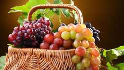 &Tau;&alpha; &mu;&omicron;&nu;&alpha;&delta;&iota;&kappa;ά &omicron;&phi;έ&lambda;&eta; &tau;&omicron;&upsilon; &sigma;&tau;&alpha;&phi;&upsilon;&lambda;&iota;&omicron;ύ &gamma;&iota;&alpha; &tau;&eta;&nu; &upsilon;&gamma;&epsilon;ί&alpha; &mu;&alpha;&sigmaf;