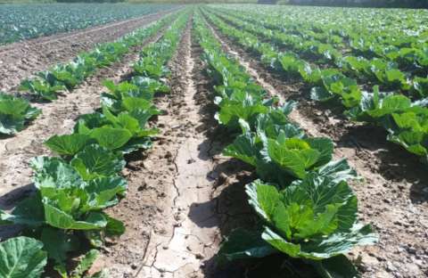 &Alpha;&lambda;έ&xi;&eta;&sigmaf; &Tau;&sigma;ί&pi;&rho;&alpha;&sigmaf; &alpha;&pi;ό &Delta;&Epsilon;&Theta; 2022: &Sigma;&tau;&iota;&sigmaf; 6  &Epsilon;&theta;&nu;&iota;&kappa;έ&sigmaf; &Pi;&rho;&omicron;&tau;&epsilon;&rho;&alpha;&iota;ό&tau;&eta;&tau;&epsilon;&sigmaf; &omicron;&iota; &Alpha;&gamma;&rho;ό&tau;&epsilon;&sigmaf;