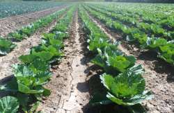 &Alpha;&lambda;έ&xi;&eta;&sigmaf; &Tau;&sigma;ί&pi;&rho;&alpha;&sigmaf; &alpha;&pi;ό &Delta;&Epsilon;&Theta; 2022: &Sigma;&tau;&iota;&sigmaf; 6  &Epsilon;&theta;&nu;&iota;&kappa;έ&sigmaf; &Pi;&rho;&omicron;&tau;&epsilon;&rho;&alpha;&iota;ό&tau;&eta;&tau;&epsilon;&sigmaf; &omicron;&iota; &Alpha;&gamma;&rho;ό&tau;&epsilon;&sigmaf;