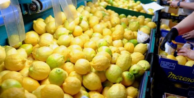 &Sigma;&tau;. &Alpha;&rho;&alpha;&chi;&omega;&beta;ί&tau;&eta;&sigmaf; - &Kappa;. &Mu;ά&rho;&kappa;&omicron;&upsilon;: &Alpha;&pi;&alpha;&rho;&alpha;ί&tau;&eta;&tau;&eta; &kappa;&alpha;&iota; &epsilon;&pi;&epsilon;ί&gamma;&omicron;&upsilon;&sigma;&alpha; &eta; &pi;&rho;&omicron;&sigma;&tau;&alpha;&sigma;ί&alpha; &tau;&eta;&sigmaf; &Epsilon;&lambda;&lambda;&eta;&nu;&iota;&kappa;ή&sigmaf; &pi;&alpha;&rho;&alpha;&gamma;&omega;&gamma;ή&sigmaf; &lambda;&epsilon;&mu;&omicron;&nu;&iota;ώ&nu;