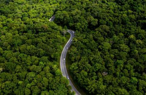 &Delta;&alpha;&sigma;&iota;&kappa;&omicron;ί &chi;ά&rho;&tau;&epsilon;&sigmaf;: &Pi;&alpha;&rho;ά&tau;&alpha;&sigma;&eta; έ&omega;&sigmaf; &tau;&iota;&sigmaf; 31 &Iota;&omicron;&upsilon;&lambda;ί&omicron;&upsilon; &gamma;&iota;&alpha; &tau;&eta;&nu; &upsilon;&pi;&omicron;&beta;&omicron;&lambda;ή &alpha;&nu;&tau;&iota;&rho;&rho;ή&sigma;&epsilon;&omega;&nu;