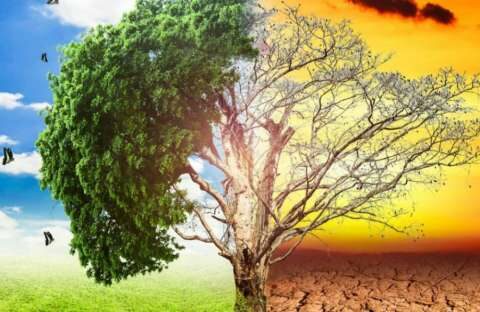 &Eta; &kappa;&lambda;&iota;&mu;&alpha;&tau;&iota;&kappa;ή &alpha;&lambda;&lambda;&alpha;&gamma;ή &alpha;&pi;&epsilon;&iota;&lambda;&epsilon;ί έ&nu;&alpha; &delta;&iota;&sigma;&epsilon;&kappa;&alpha;&tau;&omicron;&mu;&mu;ύ&rho;&iota;&omicron; &pi;&alpha;&iota;&delta;&iota;ά