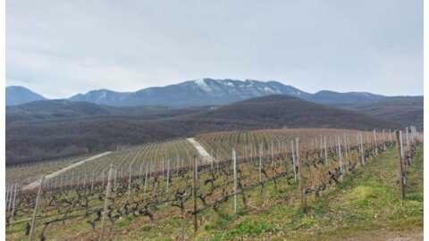 &Phi;&Epsilon;&Beta;&Rho;&Omicron;&Upsilon;&Alpha;&Rho;&Iota;&Omicron;&Sigma; &Sigma;&Tau;&Omicron; &Kappa;&Tau;&Eta;&Mu;&Alpha; &Kappa;&Upsilon;&Rho;-&Gamma;&Iota;&Alpha;&Nu;&Nu;&Eta; - &Eta; &alpha;&tau;&zeta;έ&nu;&tau;&alpha; &epsilon;&kappa;&delta;&eta;&lambda;ώ&sigma;&epsilon;&omega;&nu;