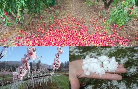 &Beta;&rho;&omicron;&chi;&omicron;&pi;&tau;ώ&sigma;&epsilon;&iota;&sigmaf;: &Tau;&iota; &lambda;έ&nu;&epsilon; &omicron;&iota; &rho;&omicron;&delta;&alpha;&kappa;&iota;&nu;&omicron;&pi;&alpha;&rho;&alpha;&gamma;&omega;&gamma;&omicron;ί &kappa;&alpha;&iota; &pi;&omicron;&iota;&omicron; &tau;&omicron; &chi;&rho;&omicron;&nu;&omicron;&delta;&iota;ά&gamma;&rho;&alpha;&mu;&mu;&alpha; &pi;&lambda;&eta;&rho;&omega;&mu;ώ&nu; &alpha;&pi;&omicron;&zeta;&eta;&mu;&iota;ώ&sigma;&epsilon;&omega;&nu; &alpha;&pi;ό &pi;&alpha;&gamma;&epsilon;&tau;ό &kappa;&alpha;&iota; &chi;&alpha;&lambda;ά&zeta;&iota;