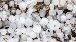 &Sigma;&phi;&omicron;&delta;&rho;ή &chi;&alpha;&lambda;&alpha;&zeta;ό&pi;&tau;&omega;&sigma;&eta; &kappa;&alpha;&tau;έ&sigma;&tau;&rho;&epsilon;&psi;&epsilon; &pi;&epsilon;&rho;&iota;&sigma;&sigma;ό&tau;&epsilon;&rho;&alpha; &alpha;&pi;ό 100.000 &sigma;&tau;&rho;έ&mu;&mu;&alpha;&tau;&alpha; &sigma;&tau;&omicron;&nu; Έ&beta;&rho;&omicron;