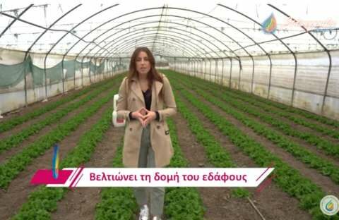 &Delta;&epsilon;&sigmaf; &pi;&omega;&sigmaf; &nu;&alpha; &alpha;&upsilon;&xi;ή&sigma;&epsilon;&iota;&sigmaf; &tau;&alpha; &alpha;&pi;&omicron;&tau;&epsilon;&lambda;έ&sigma;&mu;&alpha;&tau;&alpha; &sigma;&tau;&alpha; &kappa;&eta;&pi;&epsilon;&upsilon;&tau;&iota;&kappa;ά! (&Beta;ί&nu;&tau;&epsilon;&omicron;)