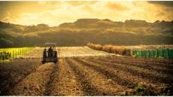 &Pi;&epsilon;&rho;&iota;&phi;&epsilon;&rho;&epsilon;&iota;&alpha;&kappa;έ&sigmaf; &Delta;&iota;&epsilon;&pi;&alpha;&gamma;&gamma;&epsilon;&lambda;&mu;&alpha;&tau;&iota;&kappa;έ&sigmaf; &Omicron;&rho;&gamma;&alpha;&nu;ώ&sigma;&epsilon;&iota;&sigmaf; &chi;&omega;&rho;ί&sigmaf; &kappa;&alpha;&mu;ί&alpha; &sigma;ύ&nu;&delta;&epsilon;&sigma;&eta; &mu;&epsilon; &tau;&iota;&sigmaf; &Epsilon;&theta;&nu;&iota;&kappa;έ&sigmaf; &Delta;&iota;&epsilon;&pi;&alpha;&gamma;&gamma;&epsilon;&lambda;&mu;&alpha;&tau;&iota;&kappa;έ&sigmaf; &Omicron;&rho;&gamma;&alpha;&nu;ώ&sigma;&epsilon;&iota;&sigmaf;