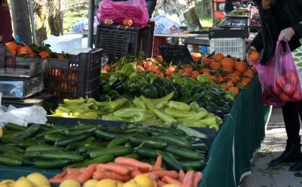 &Rho;&upsilon;&theta;&mu;ί&sigma;&epsilon;&iota;&sigmaf; &lambda;&epsilon;&iota;&tau;&omicron;&upsilon;&rho;&gamma;ί&alpha;&sigmaf; &tau;&omega;&nu; &Lambda;&alpha;ϊ&kappa;ώ&nu; &kappa;&alpha;&iota; &Upsilon;&pi;&alpha;ί&theta;&rho;&iota;&omega;&nu; &Alpha;&gamma;&omicron;&rho;ώ&nu; &tau;&omicron;&upsilon; &Delta;ή&mu;&omicron;&upsilon; &Beta;έ&rho;&omicron;&iota;&alpha;&sigmaf;