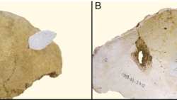 &Sigma;&tau;&eta; &nu;&epsilon;&omicron;&lambda;&iota;&theta;&iota;&kappa;ή &alpha;&gamma;&rho;&omicron;&tau;&iota;&kappa;ή &kappa;&omicron;&iota;&nu;&omega;&nu;ί&alpha; &tau;&eta;&sigmaf; &Epsilon;&upsilon;&rho;ώ&pi;&eta;&sigmaf; &kappa;&upsilon;&rho;&iota;&alpha;&rho;&chi;&omicron;ύ&sigma;&epsilon; &eta; &beta;ί&alpha;