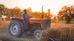 &Sigma;&epsilon; &omicron;&iota;&kappa;&omicron;&nu;&omicron;&mu;&iota;&kappa;ό &alpha;&delta;&iota;έ&xi;&omicron;&delta;&omicron; &omicron; &pi;&rho;&omega;&tau;&omicron;&gamma;&epsilon;&nu;ή&sigmaf; &tau;&omicron;&mu;έ&alpha;&sigmaf; - &Sigma;&tau;&rho;&omicron;&phi;ή &sigma;&epsilon; &nu;έ&epsilon;&sigmaf; &kappa;&alpha;&lambda;&lambda;&iota;έ&rho;&gamma;&epsilon;&iota;&epsilon;&sigmaf; &gamma;&iota;&alpha; &epsilon;&pi;&iota;&beta;ί&omega;&sigma;&eta; (&Beta;ί&nu;&tau;&epsilon;&omicron;)