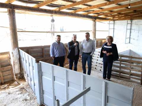 &Sigma;&tau;&omicron; &pi;&lambda;&epsilon;&upsilon;&rho;ό &tau;&omega;&nu; &pi;&lambda;&eta;&gamma;έ&nu;&tau;&omega;&nu; &kappa;&tau;&eta;&nu;&omicron;&tau;&rho;ό&phi;&omega;&nu; &tau;&omicron;&upsilon; &Alpha;&mu;&pi;&epsilon;&lambda;ώ&nu;&alpha; &Tau;&upsilon;&rho;&nu;ά&beta;&omicron;&upsilon; &omicron; &Delta;&eta;&mu;ή&tau;&rho;&eta;&sigmaf; &Kappa;&omicron;&upsilon;&rho;έ&tau;&alpha;&sigmaf;