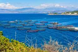 &Nu;έ&omicron; &theta;&epsilon;&sigma;&mu;&iota;&kappa;ό &pi;&lambda;&alpha;ί&sigma;&iota;&omicron; &gamma;&iota;&alpha; &epsilon;&pi;&iota;&sigma;&kappa;έ&psi;&iota;&mu;&epsilon;&sigmaf; &upsilon;&delta;&alpha;&tau;&omicron;&kappa;&alpha;&lambda;&lambda;&iota;έ&rho;&gamma;&epsilon;&iota;&epsilon;&sigmaf; &sigma;&tau;&eta;&nu; &Epsilon;&lambda;&lambda;ά&delta;&alpha;