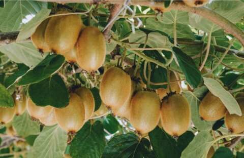 &Pi;&alpha;&rho;&alpha;&gamma;&omega;&gamma;ό&sigmaf; &xi;&epsilon;&pi;&epsilon;&rho;&nu;ά &pi;&omicron;&lambda;ύ &sigma;&omicron;&beta;&alpha;&rho;ά &theta;έ&mu;&alpha;&tau;&alpha; &sigma;&epsilon; &Alpha;&kappa;&tau;&iota;&nu;ί&delta;&iota;&alpha;! (&Beta;ί&nu;&tau;&epsilon;&omicron;)