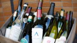 &Kappa;&Epsilon;&Omicron;&Sigma;&Omicron;&Epsilon;: &Omicron; &kappa;ί&nu;&delta;&upsilon;&nu;&omicron;&sigmaf; &laquo;&tau;&omicron;&upsilon; &pi;&rho;ώ&tau;&omicron;&upsilon; &pi;&omicron;&tau;&eta;&rho;&iota;&omicron;ύ &kappa;&rho;&alpha;&sigma;&iota;&omicron;ύ&raquo; &gamma;&iota;&alpha; &tau;&eta;&nu; &upsilon;&gamma;&epsilon;ί&alpha; &epsilon;&pi;&iota;&sigma;&tau;&rho;έ&phi;&epsilon;&iota; &sigma;&tau;&omicron; &Epsilon;&upsilon;&rho;&omega;&pi;&alpha;ϊ&kappa;ό &Kappa;&omicron;&iota;&nu;&omicron;&beta;&omicron;ύ&lambda;&iota;&omicron;