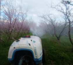 &Rho;&omicron;&delta;&alpha;&kappa;&iota;&nu;&iota;ά: &Omicron;&delta;&eta;&gamma;ί&epsilon;&sigmaf; &alpha;&nu;&tau;&iota;&mu;&epsilon;&tau;ώ&pi;&iota;&sigma;&eta;&sigmaf; &phi;&upsilon;&lambda;&lambda;&omicron;&delta;έ&tau;&eta; , &alpha;&nu;ά&rho;&sigma;&iota;&alpha;&sigmaf; &kappa;&alpha;&iota; &pi;&rho;ά&sigma;&iota;&nu;&eta;&sigmaf; &alpha;&phi;ί&delta;&alpha;&sigmaf;