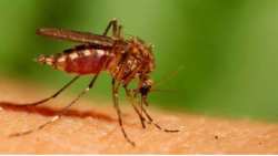 &Pi;&rho;ό&gamma;&rho;&alpha;&mu;&mu;&alpha; &epsilon;&pi;&epsilon;&mu;&beta;ά&sigma;&epsilon;&omega;&nu; &pi;&rho;&omicron;&nu;&upsilon;&mu;&phi;&omicron;&kappa;&tau;&omicron;&nu;ί&alpha;&sigmaf; &kappa;&omicron;&upsilon;&nu;&omicron;&upsilon;&pi;&iota;ώ&nu; &sigma;&tau;&omicron; &Delta;ή&mu;&omicron; &Beta;έ&rho;&omicron;&iota;&alpha;&sigmaf; &gamma;&iota;&alpha; &tau;&eta;&nu; &epsilon;&beta;&delta;&omicron;&mu;ά&delta;&alpha; 29 &Mu;&alpha;ΐ&omicron;&upsilon; &ndash; 2 &Iota;&omicron;&upsilon;&nu;ί&omicron;&upsilon; 2023