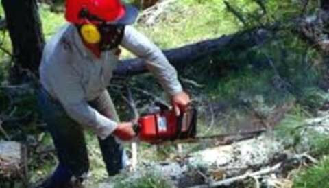 &Tau;&rho;&alpha;&gamma;&iota;&kappa;ό: 35&chi;&rho;&omicron;&nu;&omicron;&sigmaf; &alpha;&gamma;&rho;ό&tau;&eta;&sigmaf; &beta;&rho;έ&theta;&eta;&kappa;&epsilon; &nu;&epsilon;&kappa;&rho;ό&sigmaf; &sigma;&epsilon; &chi;&omega;&rho;ά&phi;&iota; &mu;&epsilon; &kappa;&omicron;&mu;&mu;έ&nu;&omicron; &tau;&omicron;&nu; &lambda;&alpha;&iota;&mu;ό