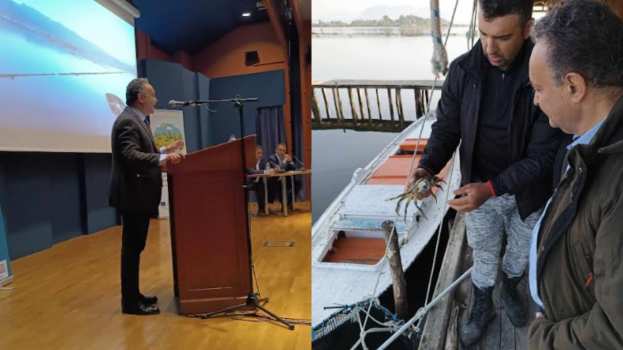 &Sigma;&tau;.&Kappa;&epsilon;&lambda;έ&tau;&sigma;&eta;&sigmaf;: &Pi;&rho;&omicron;&chi;&omega;&rho;ά&mu;&epsilon; &mu;&epsilon; &sigma;&tau;&rho;&alpha;&tau;&eta;&gamma;&iota;&kappa;ή &kappa;&alpha;&iota; &sigma;&upsilon;&gamma;&kappa;&epsilon;&kappa;&rho;&iota;&mu;έ&nu;&epsilon;&sigmaf; &delta;&rho;ά&sigma;&epsilon;&iota;&sigmaf; &gamma;&iota;&alpha; &beta;&iota;ώ&sigma;&iota;&mu;&eta; &kappa;&alpha;&iota; &sigma;ύ&gamma;&chi;&rho;&omicron;&nu;&eta; &alpha;&lambda;&iota;&epsilon;ί&alpha; &kappa;&alpha;&iota; &upsilon;&delta;&alpha;&tau;&omicron;&kappa;&alpha;&lambda;&lambda;&iota;έ&rho;&gamma;&epsilon;&iota;&alpha;