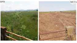 &Sigma;&upsilon;&nu;&epsilon;&chi;ί&zeta;&omicron;&nu;&tau;&alpha;&iota; &tau;&alpha; &alpha;&nu;&tau;&iota;&pi;&lambda;&eta;&mu;&mu;&upsilon;&rho;&iota;&kappa;ά έ&rho;&gamma;&alpha; &tau;&eta;&sigmaf; &Pi;&epsilon;&rho;&iota;&phi;έ&rho;&epsilon;&iota;&alpha;&sigmaf; &Theta;&epsilon;&sigma;&sigma;&alpha;&lambda;ί&alpha;&sigmaf; &sigma;&epsilon; &rho;έ&mu;&alpha;&tau;&alpha; &kappa;&alpha;&iota; &pi;&omicron;&tau;ά&mu;&iota;&alpha; &tau;&omega;&nu; &Phi;&alpha;&rho;&sigma;ά&lambda;&omega;&nu;