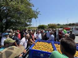 &Sigma;&tau;&iota;&sigmaf; &pi;&lambda;&eta;&gamma;&epsilon;ί&sigma;&epsilon;&sigmaf; &alpha;&pi;ό &chi;&alpha;&lambda;&alpha;&zeta;ό&pi;&tau;&omega;&sigma;&eta; &pi;&epsilon;&rho;&iota;&omicron;&chi;έ&sigmaf; &tau;&eta;&sigmaf; &Eta;&mu;&alpha;&theta;ί&alpha;&sigmaf; &omicron; &Upsilon;&phi;&Alpha;&Alpha;&Tau;, &Delta;&iota;&omicron;&nu;ύ&sigma;&eta;&sigmaf; &Sigma;&tau;&alpha;&mu;&epsilon;&nu;ί&tau;&eta;&sigmaf;