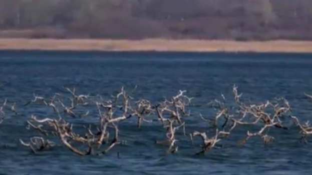 &Rho;&omicron;&delta;&alpha;&kappa;&iota;&nu;&iota;έ&sigmaf; &mu;έ&sigma;&alpha; &sigma;&tau;&eta; &lambda;ί&mu;&nu;&eta; &Beta;&epsilon;&gamma;&omicron;&rho;ί&tau;&iota;&delta;&alpha; - &Alpha;&pi;ί&sigma;&tau;&epsilon;&upsilon;&tau;&eta; &epsilon;&iota;&kappa;ό&nu;&alpha;