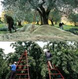 &Psi;ά&chi;&nu;&epsilon;&iota;&sigmaf; &epsilon;&rho;&gamma;ά&tau;&epsilon;&sigmaf; &gamma;&eta;&sigmaf;; &Upsilon;&pi;ά&rho;&chi;&epsilon;&iota; &Lambda;&Upsilon;&Sigma;&Eta; !