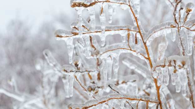 &Sigma;&epsilon; &pi;&omicron;&iota;&epsilon;&sigmaf; &pi;&epsilon;&rho;&iota;&omicron;&chi;έ&sigmaf; &tau;&eta;&sigmaf; &Kappa;&epsilon;&nu;&tau;&rho;&iota;&kappa;ή&sigmaf; &Mu;&alpha;&kappa;&epsilon;&delta;&omicron;&nu;ί&alpha;&sigmaf; &alpha;&nu;&alpha;&mu;έ&nu;&epsilon;&tau;&alpha;&iota; &pi;&alpha;&gamma;&epsilon;&tau;ό&sigmaf; &alpha;&pi;ό &alpha;&pi;ό&psi;&epsilon;