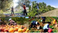 &Sigma;&upsilon;&nu;&epsilon;&chi;ί&zeta;&omicron;&upsilon;&nu; &tau;&eta;&nu; &alpha;&nu;&alpha;&zeta;ή&tau;&eta;&sigma;&eta; &epsilon;&rho;&gamma;&alpha;&tau;ώ&nu; &gamma;&eta;&sigmaf; &alpha;&pi;ό &tau;&eta;&nu; &Alpha;&sigma;ί&alpha; , &omicron;&iota; Έ&lambda;&lambda;&eta;&nu;&epsilon;&sigmaf; &pi;&alpha;&rho;&alpha;&gamma;&omega;&gamma;&omicron;ί