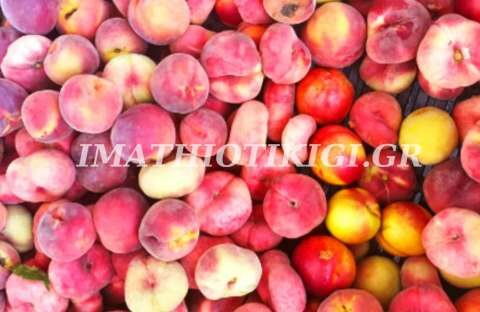 &Tau;&zeta;ά&kappa;&rho;&eta; &pi;&rho;&omicron;&sigmaf; &Gamma;&epsilon;&omega;&rho;&gamma;&alpha;&nu;&tau;ά: &laquo;&Kappa;&alpha;&tau;ά&phi;&omega;&rho;&alpha; ά&delta;&iota;&kappa;&eta; &kappa;&alpha;&iota; &delta;&iota;&chi;&alpha;&sigma;&tau;&iota;&kappa;ή &eta; &alpha;&pi;ό&phi;&alpha;&sigma;&eta; &kappa;&alpha;&tau;&alpha;&nu;&omicron;&mu;ή&sigmaf; &tau;&omicron;&upsilon; &alpha;&pi;&omicron;&theta;&epsilon;&mu;&alpha;&tau;&iota;&kappa;&omicron;ύ &kappa;&rho;ί&sigma;&eta;&sigmaf;&raquo;