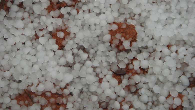 Έ&kappa;&tau;&alpha;&kappa;&tau;&omicron; &delta;&epsilon;&lambda;&tau;ί&omicron; &epsilon;&pi;&iota;&delta;&epsilon;ί&nu;&omega;&sigma;&eta;&sigmaf; &kappa;&alpha;&iota;&rho;&omicron;ύ: Έ&rho;&chi;&omicron;&nu;&tau;&alpha;&iota; &iota;&sigma;&chi;&upsilon;&rho;έ&sigmaf; &beta;&rho;&omicron;&chi;έ&sigmaf; &kappa;&alpha;&iota; &chi;&alpha;&lambda;&alpha;&zeta;&omicron;&pi;&tau;ώ&sigma;&epsilon;&iota;&sigmaf; | &Alpha;&gamma;&rho;&omicron;&tau;&iota;&kappa;ά &nu;έ&alpha; IMATHIOTIKIGI.GR