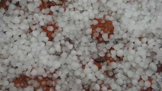 Έ&kappa;&tau;&alpha;&kappa;&tau;&omicron; &delta;&epsilon;&lambda;&tau;ί&omicron; &epsilon;&pi;&iota;&delta;&epsilon;ί&nu;&omega;&sigma;&eta;&sigmaf; &kappa;&alpha;&iota;&rho;&omicron;ύ: Έ&rho;&chi;&omicron;&nu;&tau;&alpha;&iota; &iota;&sigma;&chi;&upsilon;&rho;έ&sigmaf; &beta;&rho;&omicron;&chi;έ&sigmaf; &kappa;&alpha;&iota; &chi;&alpha;&lambda;&alpha;&zeta;&omicron;&pi;&tau;ώ&sigma;&epsilon;&iota;&sigmaf; | &Alpha;&gamma;&rho;&omicron;&tau;&iota;&kappa;ά &nu;έ&alpha; IMATHIOTIKIGI.GR