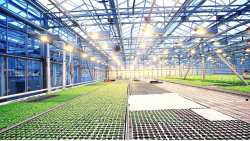 124 &epsilon;&kappa;&alpha;&tau;. &epsilon;&upsilon;&rho;ώ &gamma;&iota;&alpha; &epsilon;&gamma;&gamma;&epsilon;&iota;&omicron;&beta;&epsilon;&lambda;&tau;&iota;&omega;&tau;&iota;&kappa;ά έ&rho;&gamma;&alpha; &ndash; &pi;&rho;ό&sigma;&kappa;&lambda;&eta;&sigma;&eta; &gamma;&iota;&alpha; &tau;&eta;&nu; &upsilon;&pi;&omicron;&beta;&omicron;&lambda;ή &pi;&rho;&omicron;&tau;ά&sigma;&epsilon;&omega;&nu;