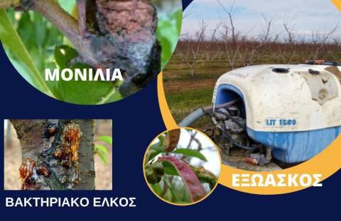 &Alpha;&gamma;&rho;&omicron;&tau;&iota;&kappa;ά &nu;έ&alpha; - &Gamma;&epsilon;&omega;&rho;&gamma;&iota;&kappa;έ&sigmaf; &pi;&rho;&omicron;&epsilon;&iota;&delta;&omicron;&pi;&omicron;&iota;ή&sigma;&epsilon;&iota;&sigmaf; &gamma;&iota;&alpha; &tau;&alpha; &Pi;&upsilon;&rho;&eta;&nu;ό&kappa;&alpha;&rho;&pi;&alpha;