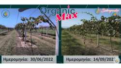 &Pi;&alpha;&rho;&alpha;&gamma;&omega;&gamma;ό&sigmaf;: &ldquo;&Beta;&rho;ή&kappa;&alpha; &tau;&eta;&nu; &lambda;ύ&sigma;&eta; &gamma;&iota;&alpha; &tau;&eta;&nu; &alpha;ύ&xi;&eta;&sigma;&eta; &pi;&alpha;&rho;&alpha;&gamma;&omega;&gamma;ή&sigmaf; &kappa;&alpha;&iota; &pi;&omicron;&iota;ό&tau;&eta;&tau;&alpha;&sigmaf; &sigma;&tau;&alpha; &Alpha;&kappa;&tau;&iota;&nu;ί&delta;&iota;&alpha;!&rdquo;