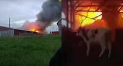 &Tau;&rho;&alpha;&gamma;&iota;&kappa;ό &tau;έ&lambda;&omicron;&sigmaf; &gamma;&iota;&alpha; 39&chi;&rho;&omicron;&nu;&omicron; &kappa;&tau;&eta;&nu;&omicron;&tau;&rho;ό&phi;&omicron; &pi;&omicron;&upsilon; &pi;ή&gamma;&epsilon; &nu;&alpha; &sigma;ώ&sigma;&epsilon;&iota; &tau;&alpha; &zeta;ώ&alpha; &tau;&omicron;&upsilon; &kappa;&alpha;&iota; &kappa;ά&eta;&kappa;&epsilon;