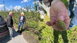 &Epsilon;&pi;ί&sigma;&kappa;&epsilon;&psi;&eta; &Tau;&zeta;ά&kappa;&rho;&eta; &sigma;&tau;&iota;&sigmaf; &pi;&lambda;&eta;&gamma;&epsilon;ί&sigma;&epsilon;&sigmaf; &pi;&epsilon;&rho;&iota;&omicron;&chi;έ&sigmaf; &kappa;&alpha;&iota; &Epsilon;&rho;ώ&tau;&eta;&sigma;&eta; &sigma;&tau;&eta; &Beta;&omicron;&upsilon;&lambda;ή &gamma;&iota;&alpha; &tau;&iota;&sigmaf; &zeta;&eta;&mu;&iota;έ&sigmaf; &alpha;&pi;ό &tau;&eta; &chi;&alpha;&lambda;&alpha;&zeta;ό&pi;&tau;&omega;&sigma;&eta;