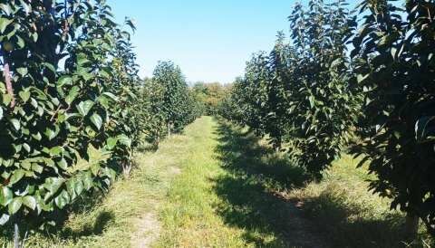 &Alpha;&nu;&alpha;&delta;&iota;ά&rho;&theta;&rho;&omega;&sigma;&eta; &kappa;&alpha;&lambda;&lambda;&iota;&epsilon;&rho;&gamma;&epsilon;&iota;ώ&nu;, &kappa;ό&sigma;&tau;&omicron;&sigmaf; &pi;&alpha;&rho;&alpha;&gamma;&omega;&gamma;ή&sigmaf;, &Epsilon;&Lambda;&Gamma;&Alpha;, &epsilon;&rho;&gamma;ά&tau;&epsilon;&sigmaf; &gamma;&eta;&sigmaf;, &sigma;&tau;&eta;&nu; &alpha;&nu;&omicron;&iota;&chi;&tau;ή &pi;&omicron;&lambda;&iota;&tau;&iota;&kappa;ή &epsilon;&kappa;&delta;ή&lambda;&omega;&sigma;&eta; &tau;&omicron;&upsilon; &Sigma;&Upsilon;&Rho;&Iota;&Zeta;&Alpha;-&Pi;&Sigma; &sigma;&tau;&eta; &Sigma;&kappa;ύ&delta;&rho;&alpha;